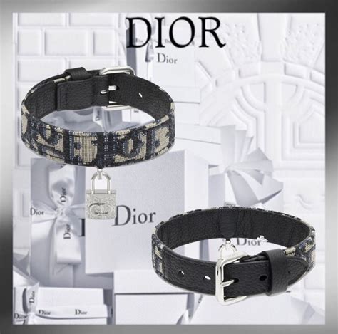 dior dog accessories.